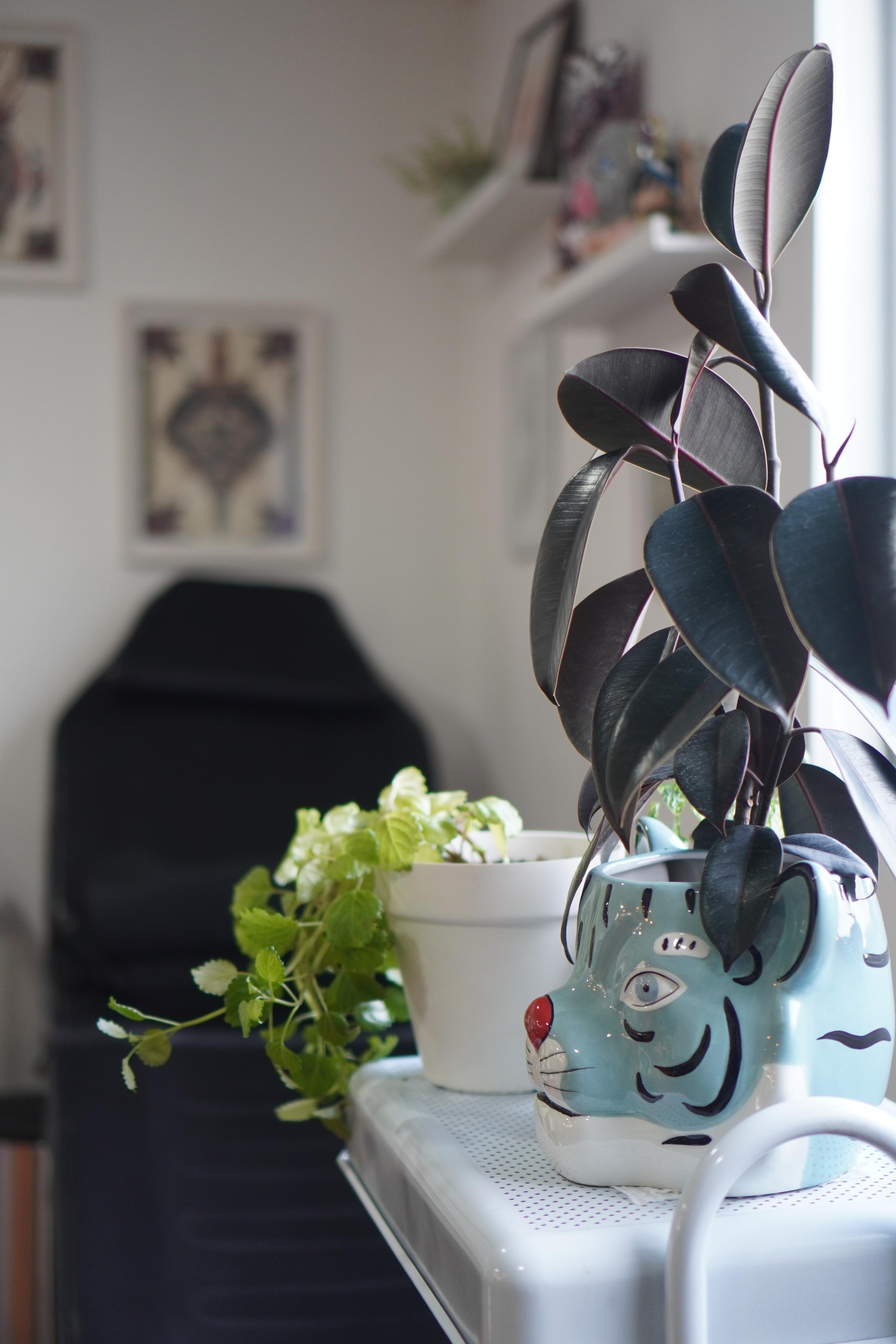 Estudio interior 2
